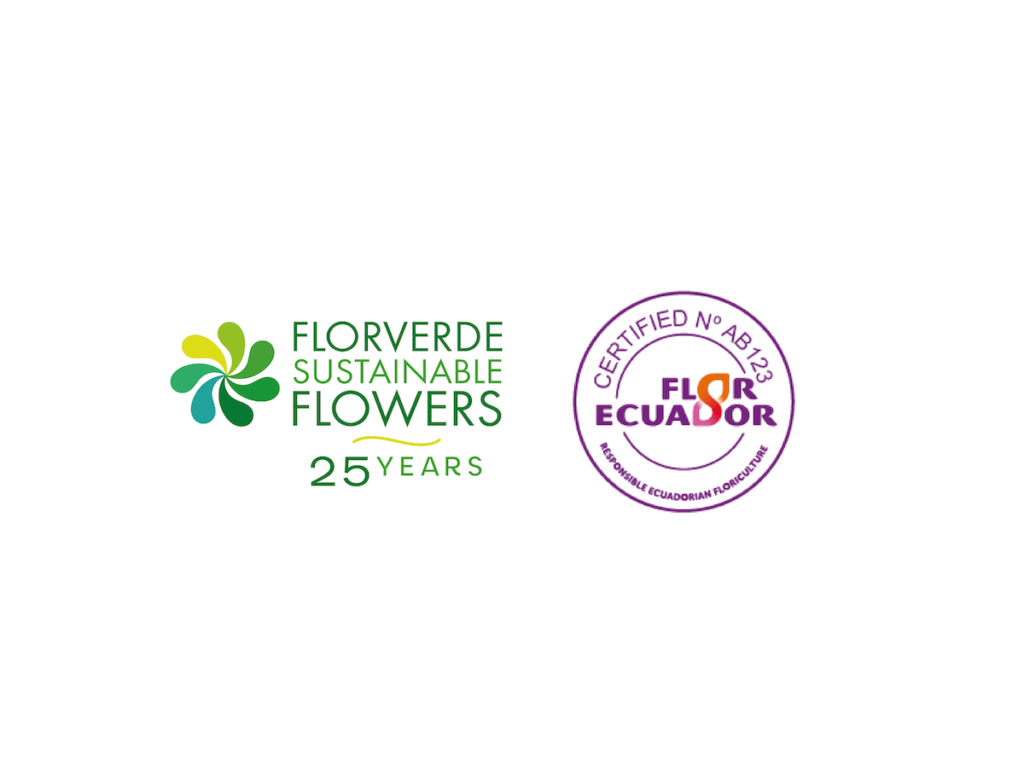 Florverde Sustainable Flowers Y Flor Ecuador Certified Una Alianza