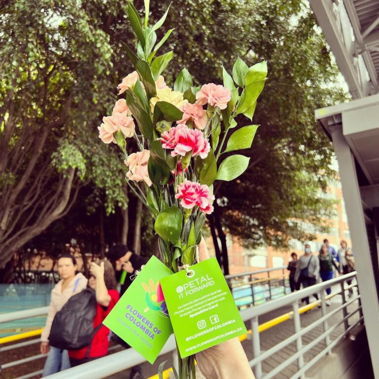 Las Floricultura Colombiana se unió a la Campaña Petal it Forward de la