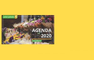Agenda plan pétalo 2020 – 2021