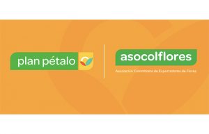 Asocolflores activa su “Plan Pétalo” y muestra porque la floricultura es símbolo de la esperanza y recuperación nacional
