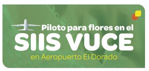 Piloto para flores en el SIIS VUCE en Aeropuerto El Dorado