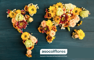 Contacto de interés importación de flores colombianas a chile