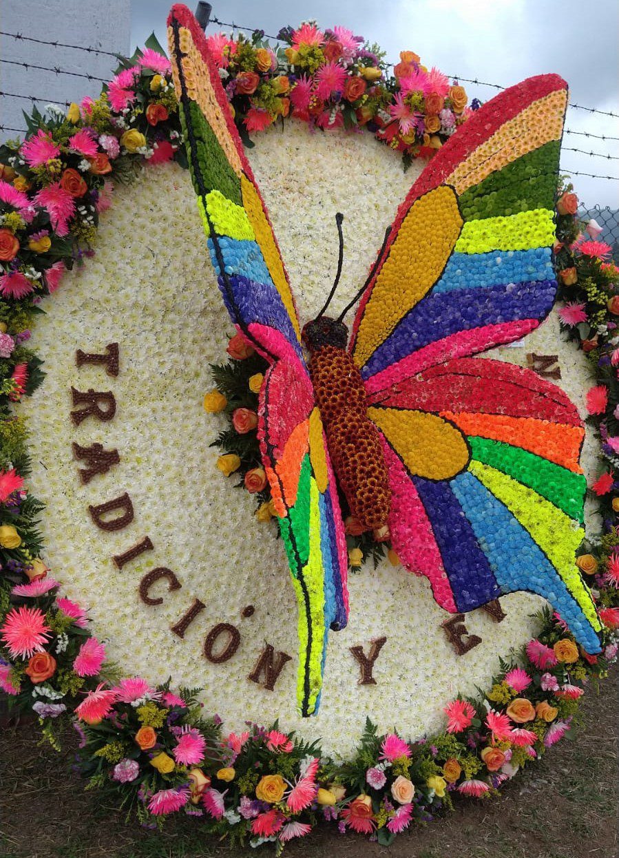 Asocolflores apoya con flores a los pequeños floricultores del Cauca en su  desfile de silleteros el próximo 14 de agosto - Asocolflores