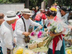 600 mil tallos entregará Asocolflores durante la feria de las Flores de Medellín para honrar la tradición silletera, engalanar la ciudad y realzar el aporte social y económico del sector floricultor al país.
