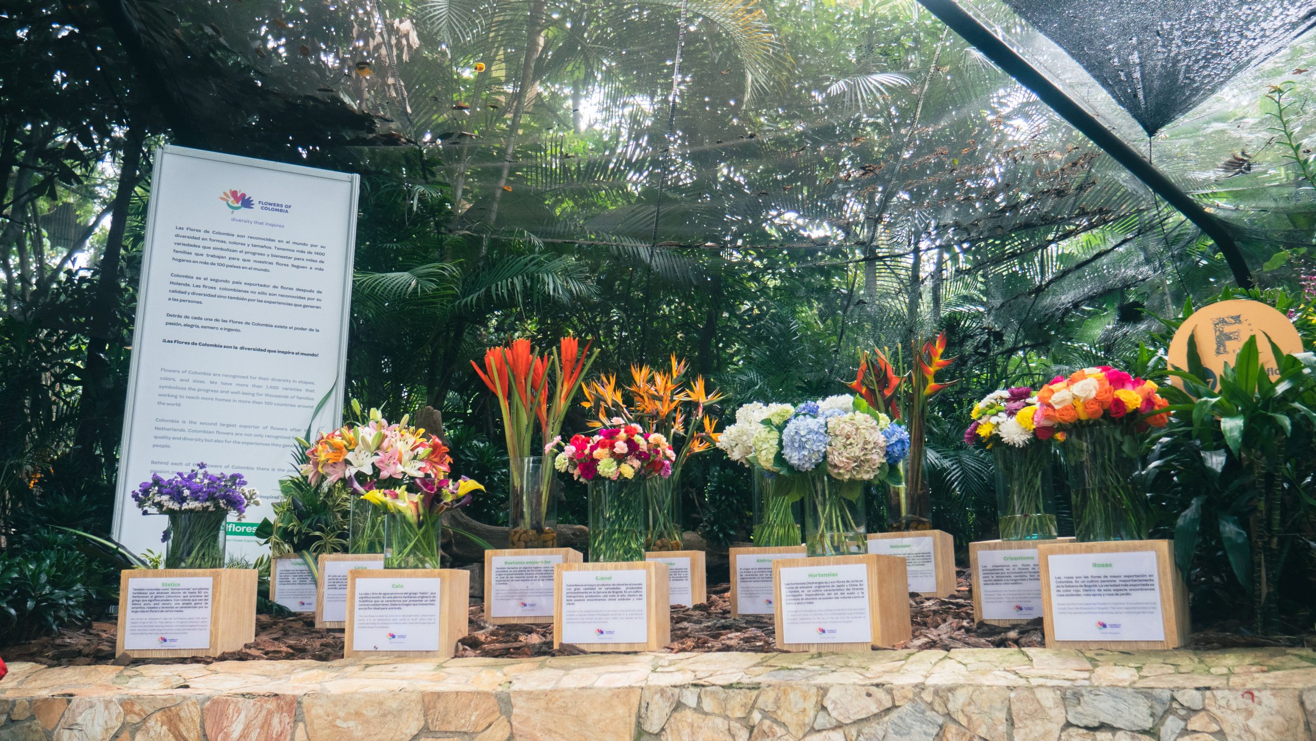 Las Flores de Colombia enamoraron a los visitantes de “Florecer” en el  Jardín Botánico de Medellín - Asocolflores
