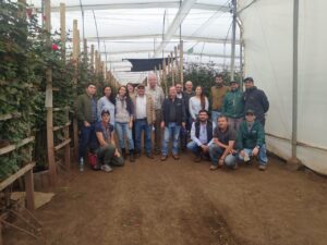 Asocolflores y American Floral Endowment unidos en el manejo de plagas en los cultivos