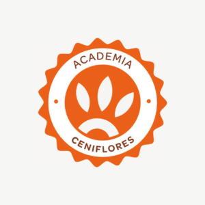 Academia Ceniflores: capacitación, innovación y desarrollo en un solo clic