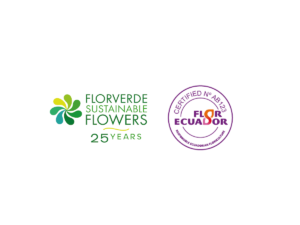 Florverde Sustainable Flowers y Flor Ecuador Certified: una alianza ganadora que busca fortalecer el sector floricultor latinoamericano