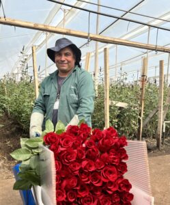 San Valentín, una temporada que nos permitió enamorarnos de las Flores de Colombia