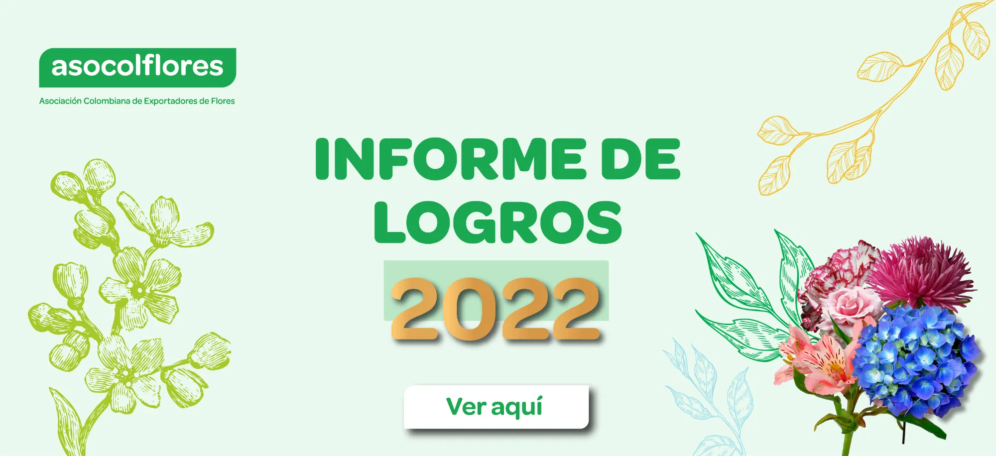 Banner InformeLogros