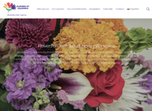 Flowers of Colombia actualiza su página web