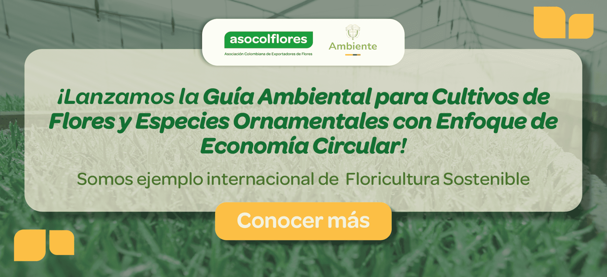 Banner web lanzamiento guia ambiental - Antiguo