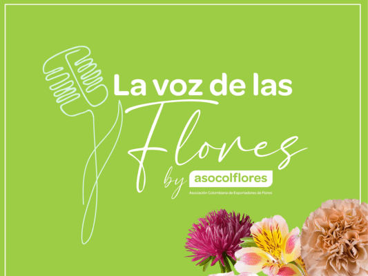 La Voz de las Flores: un año amplificando las historias, retos y avances de la floricultura colombiana