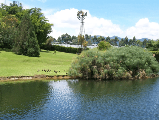 Con más de 1.000 beneficiarios, Florverde fortalece su implementación a través de sus cursos formación en 2025