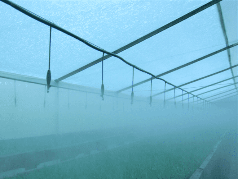 Ceniflores socializó los resultados de la vigilancia tecnológica en automatización para la floricultura colombiana