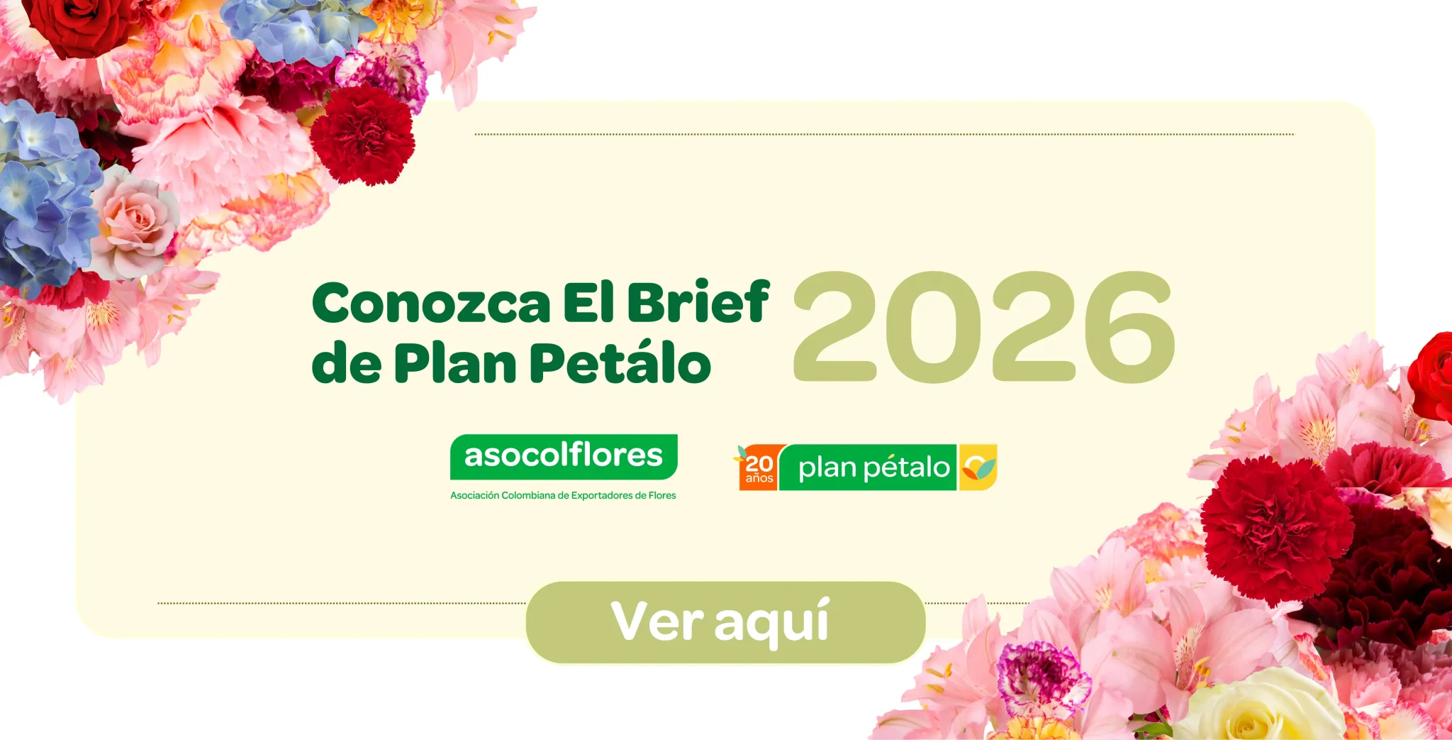 Banner plan petalo 2026