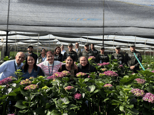 Plan Pétalo fortalece la articulación con autoridades de control para la temporada de San Valentín 2026