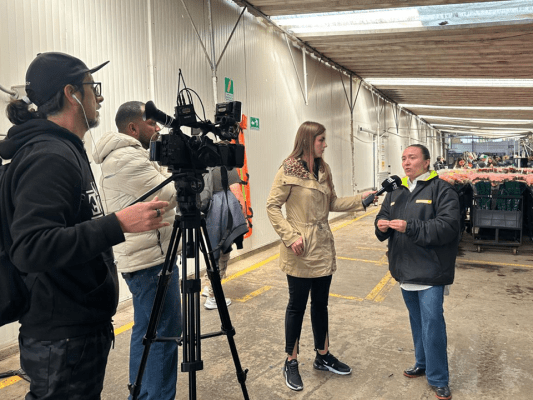 Asocolflores fortaleció el posicionamiento del sector en medios y redes durante la temporada de San Valentín