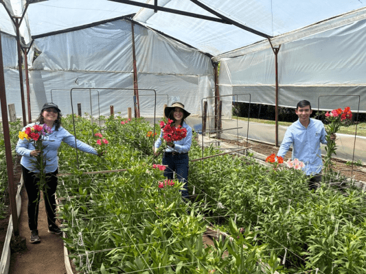 Asesoría técnica Florverde fortalece la gestión ambiental y social en empresas del sector