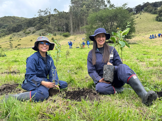 Programa ambiental de Asocolflores fortalece la preparación del sector frente a la regulación del MinAmbiente