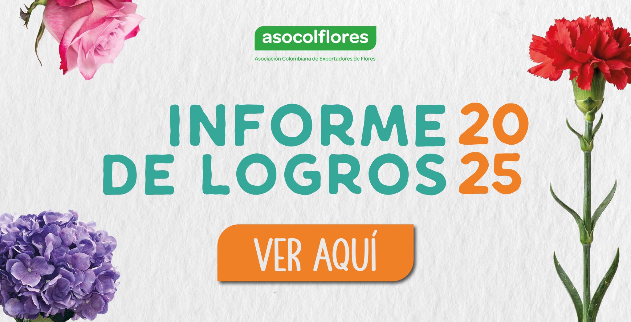 Informe de Logros 2025 Web