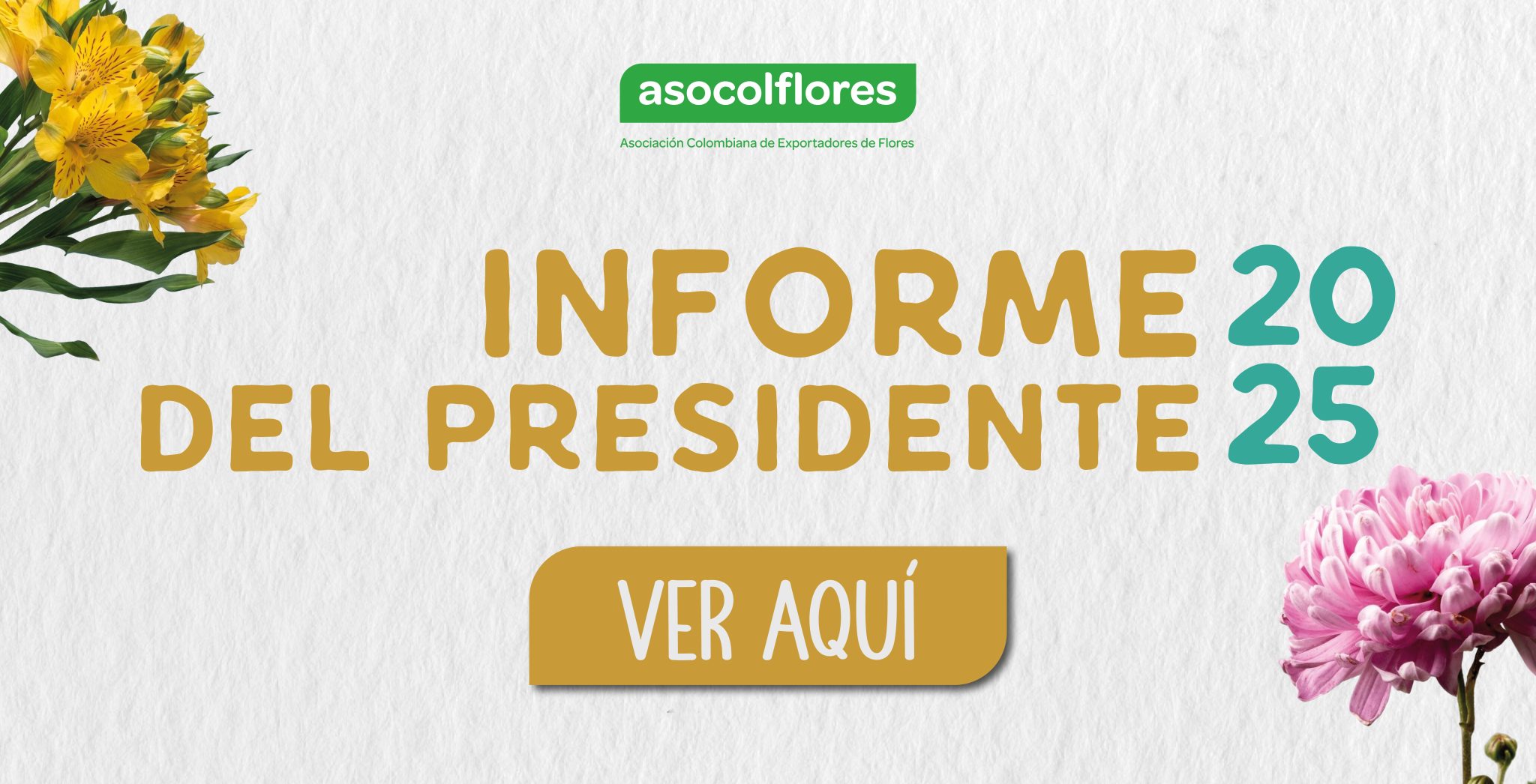 Informe del Presidente 2025 web