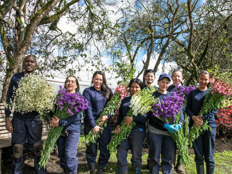 Floricultura colombiana: más estabilidad laboral y una marca empleadora que se consolida