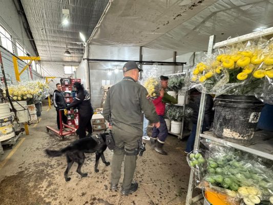 Asocolflores y la Policía Antinarcóticos fortalecen acciones de prevención en empresas afiliadas en Antioquia