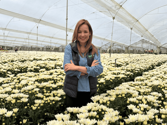 100 días construyendo una agenda para fortalecer la competitividad y la representación de la floricultura colombiana