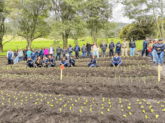 La floricultura crece con su gente: Asocolflores impulsa huerta escolar para fortalecer la seguridad alimentaria en Cogua