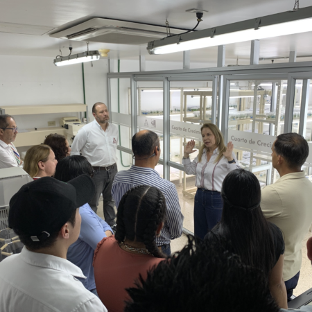 Gira Técnica