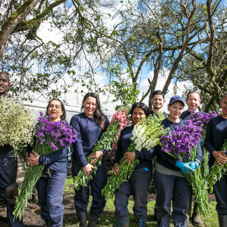 Empleo en la floricultura