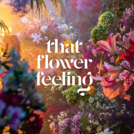 That-Flower-Feeling----on-Thursd.-